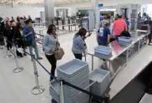 Those airport security bins are full of germs