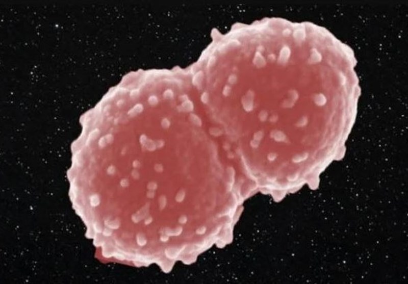 What space bacteria means to people on earth