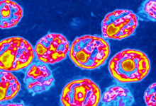 How a 4th person was cured of hiv after stem cell treatments
