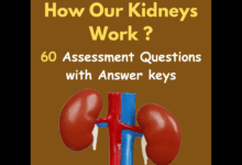 Kidney health doctor questions