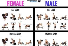 The 5 best ways to workout for weightloss
