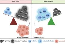 Limiting tumors and infections