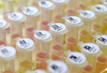 How long will it take to develop vaccine for coronavirus