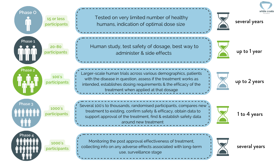 What are the phases of clinical trials