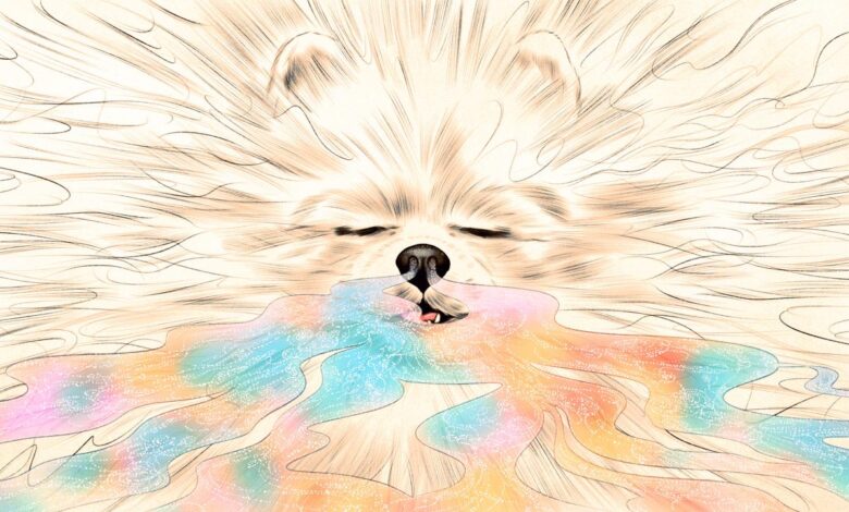 Dogs can smell when were stressed out