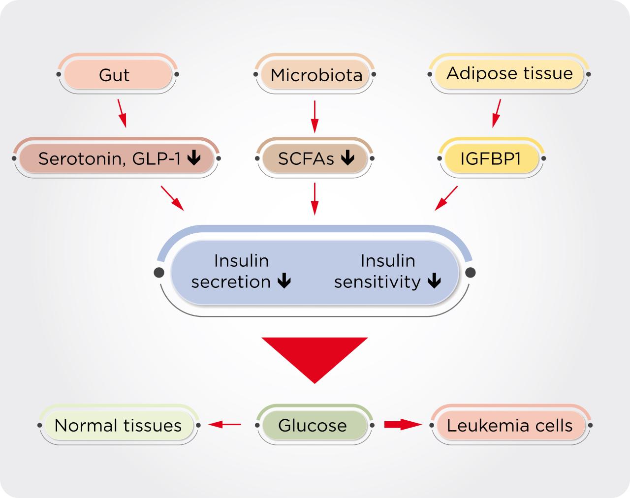 How diabetes increases cancer risk