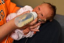 Opioid meds dont hurt infants