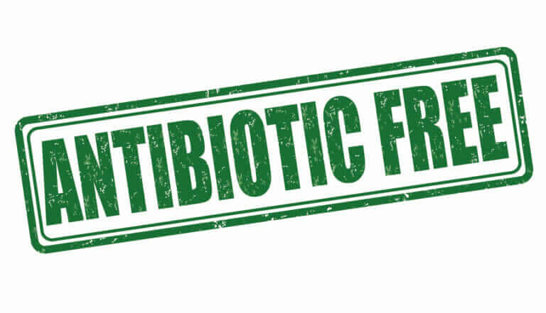 Why you should buy meat that doesnt have antibiotics