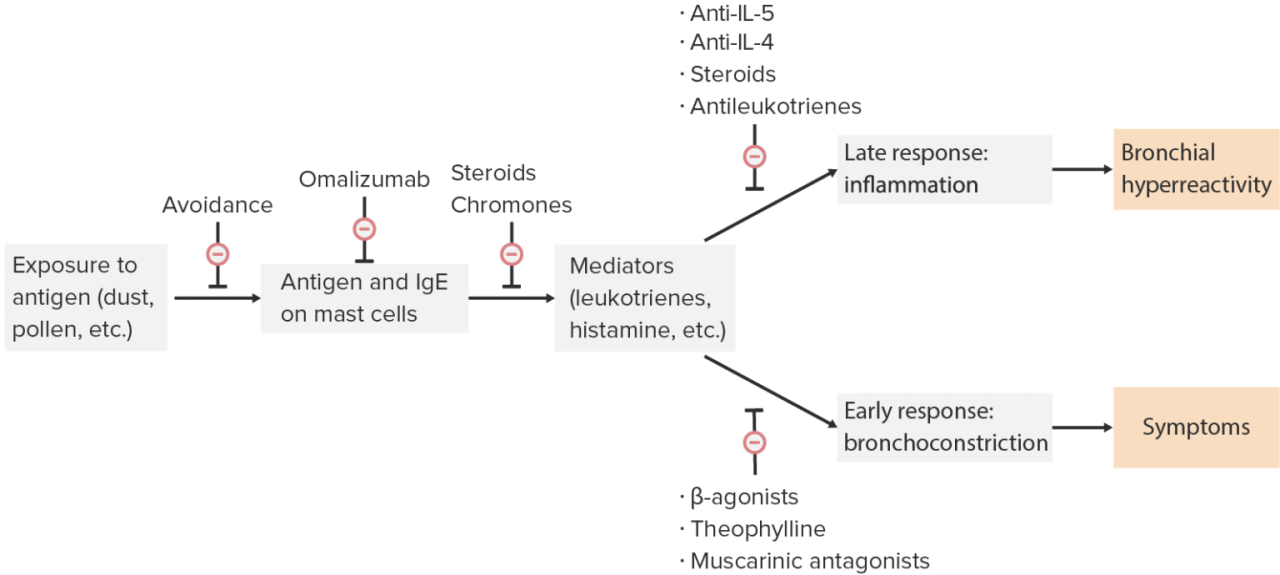 Asthma associated with increased risk for Alzheimer’s disease Asthma drug for alzheimers treatment