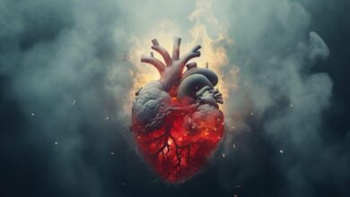 Air pollution can cause heart attacks stroke and asthma attacks why is it getting worse in us