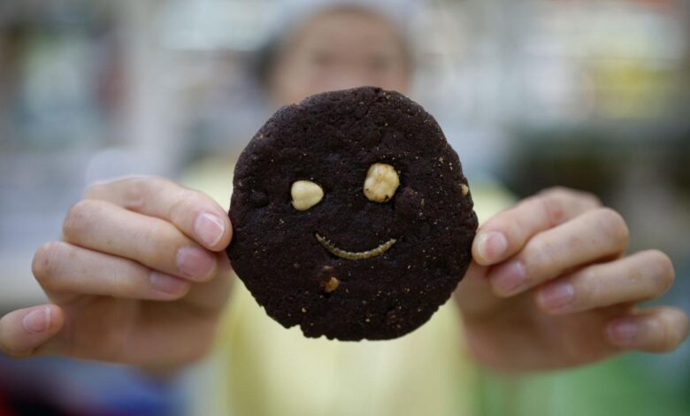 Pass the mealworms researchers say these insects can be cooked as a healthy food