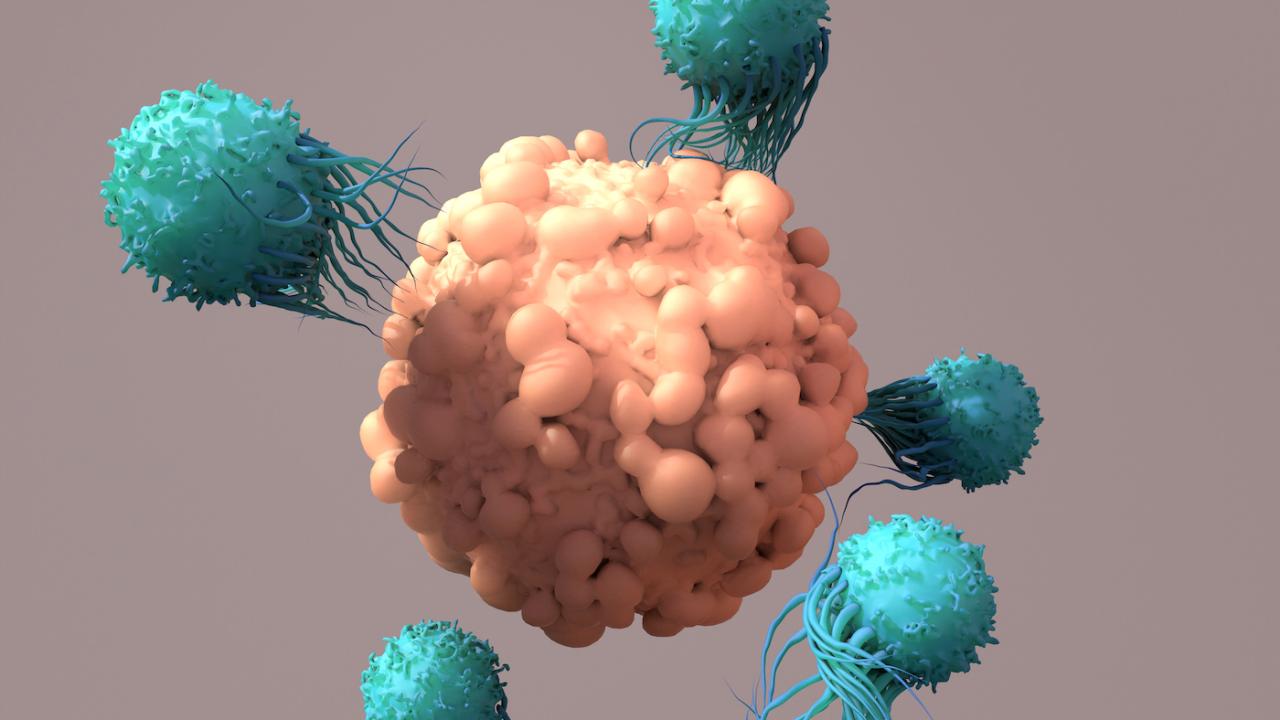 New car t cell immunotherapy shows promise in treating lupus