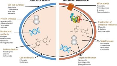 Why urinary tract infections are so difficult to treat now