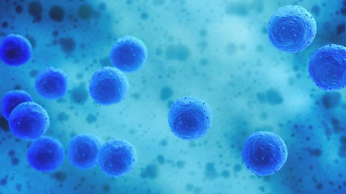 Stem cell research advancing cells advancements latest healthline hair cure cures yet real but rapidly share Stem cell research advancing rapidly