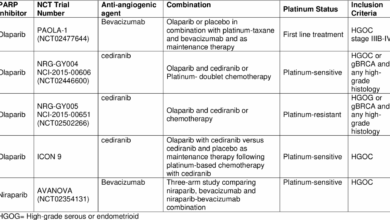 Parp inhibitor ovarian cancer