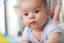 Baby talk is universal