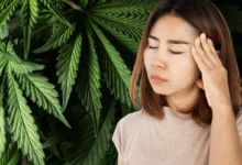Dispensaries think weed safe to treat morning sickness its not