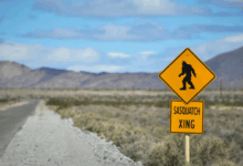 Bigfoot unity connected diabetes system