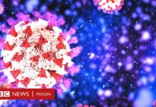 New sub variants of omicron detected what to know about ba 4 and ba 5