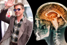 Brad pitt has face blindness heres what that means