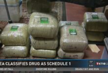 Kratom legality banned bills outright