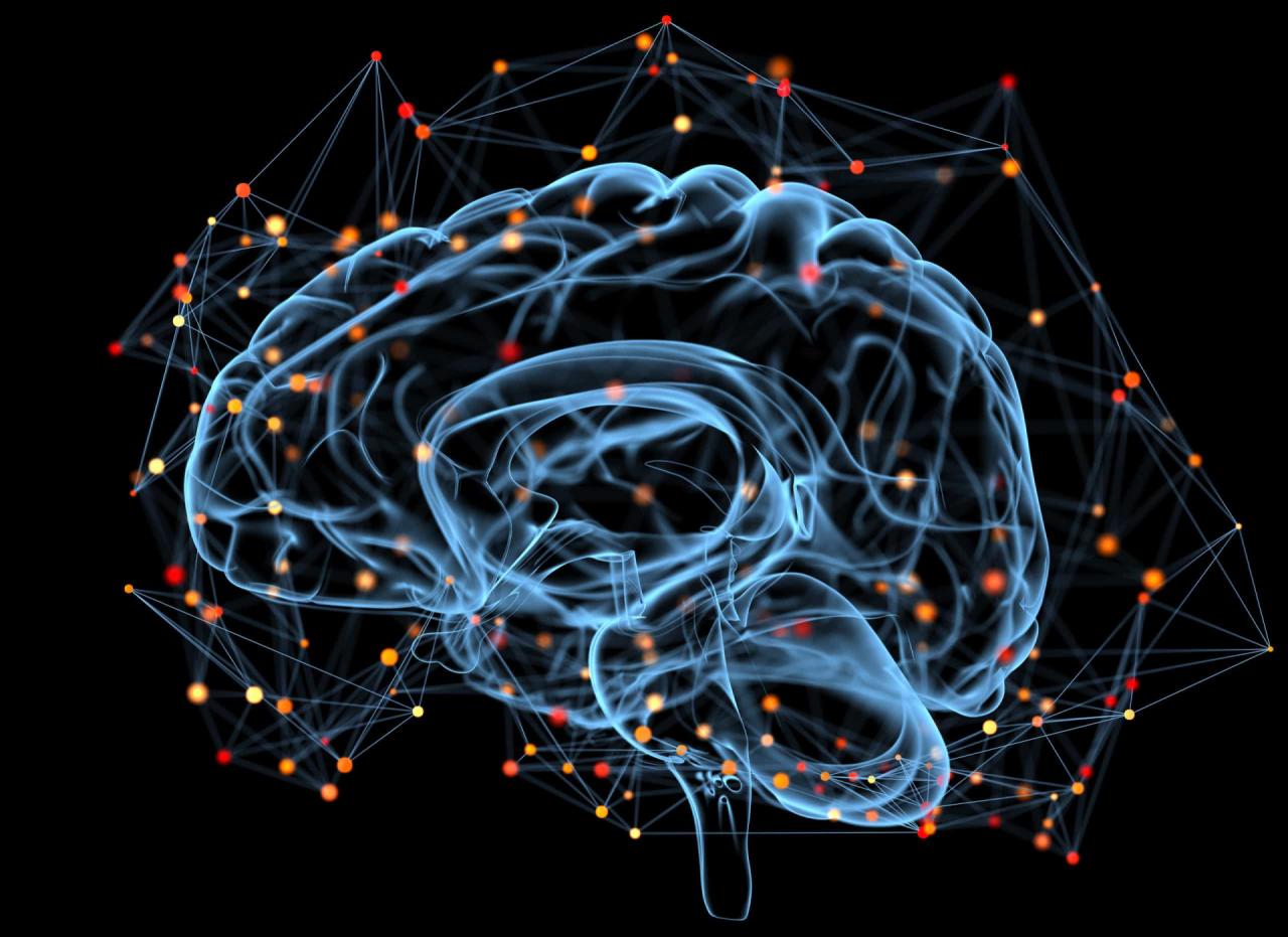 Human brain doesnt slow down until after age of 60