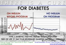 Rethinking a cure for diabetes