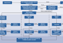 New ibs guidelines call for personalized treatments what to know