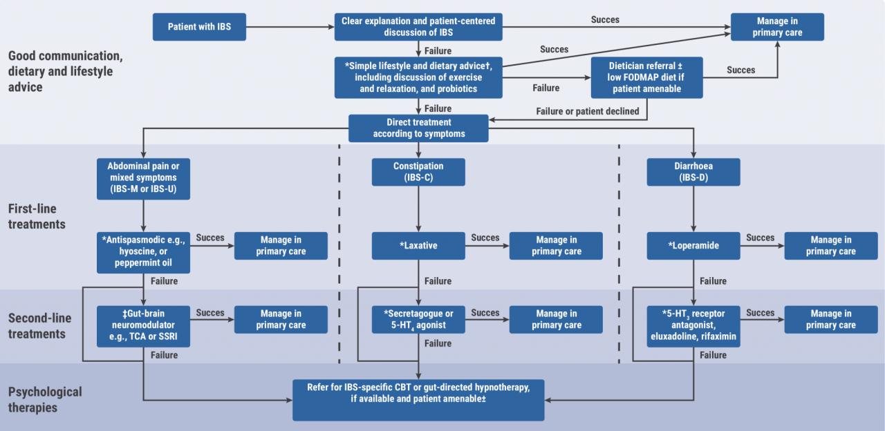 New ibs guidelines call for personalized treatments what to know