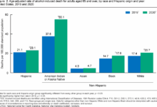 Alcohol related deaths double in two decades