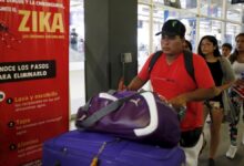 Zika wont travel far in usa