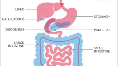 Upper gi and small bowel series