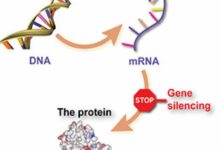 New drug for huntingtons disease