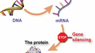 New drug for huntingtons disease