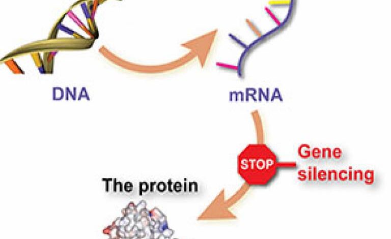 New drug for huntingtons disease