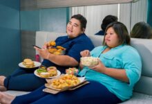 Overweight young adults likely to binge