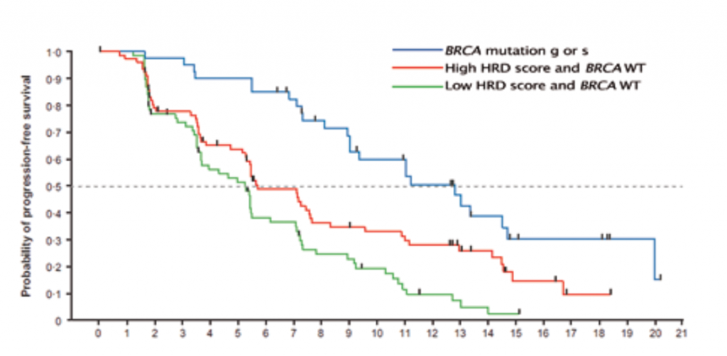 Parp survival inhibitors ovarian brca inhibitor patients platinum median relapsed sensitive progression showed phase mutant Parp survival inhibitors ovarian brca inhibitor patients platinum median relapsed sensitive progression showed phase mutant