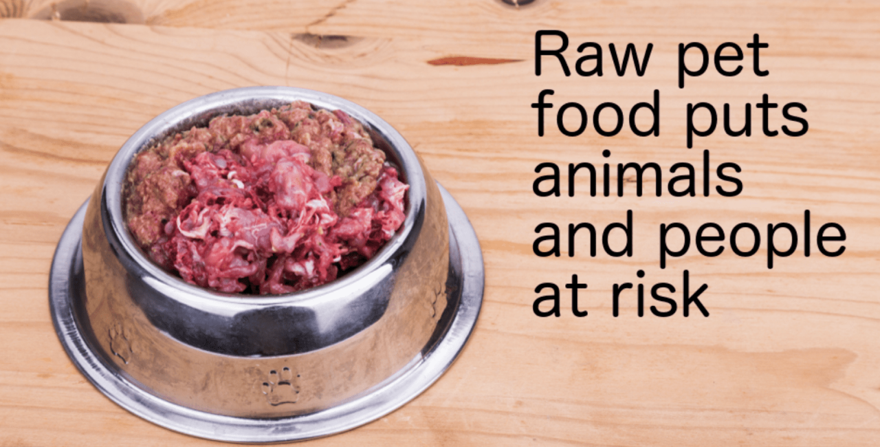 Raw dog food is dangerous for pets and people