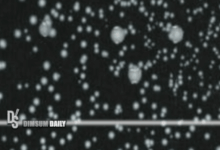 Nyc legionnaires disease cluster