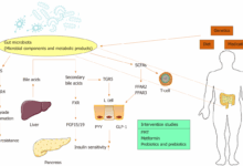 Gut microbiota and children with type 1 diabetes