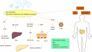 Gut microbiota and children with type 1 diabetes