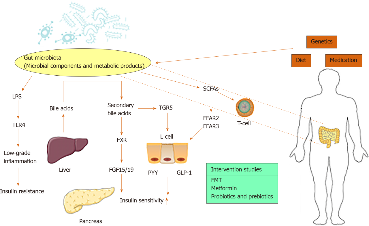 Gut microbiota and children with type 1 diabetes