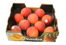 Peaches suspected in salmonella outbreak in 9 states