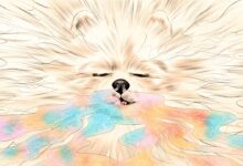 Dogs can smell when were stressed out