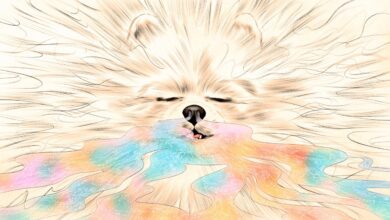 Dogs can smell when were stressed out