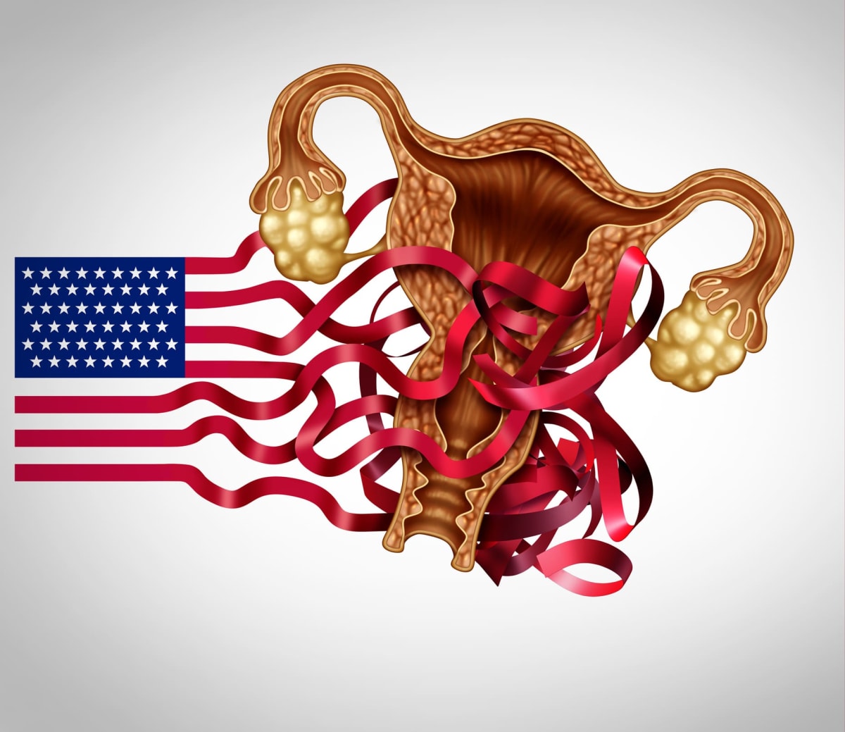 What could happen in the u s if roe v wade is overturned
