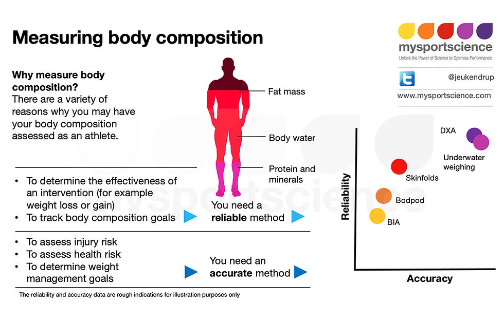 Can 3 d body scanner help you lose weight