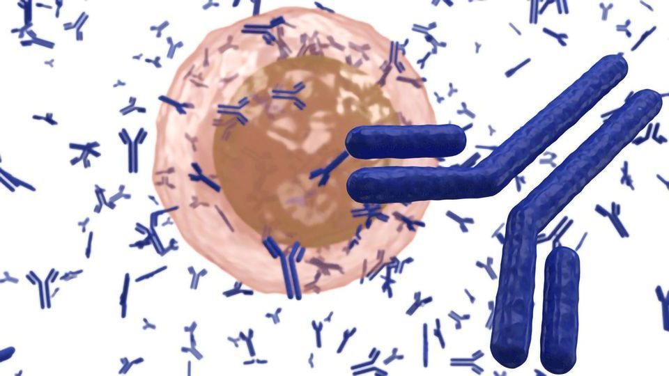 Antibodies producing faulty results