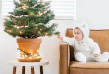 How to avoid dangerous baceria in your home during the holidays