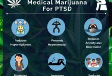 No proof yet that marijuana helps with ptsd symptoms